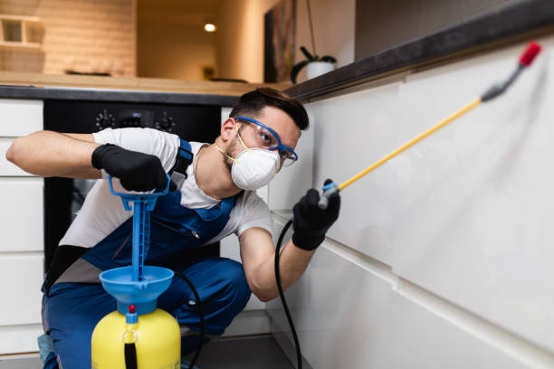 Best Best Pest Control Companies  in Stevensville, MI