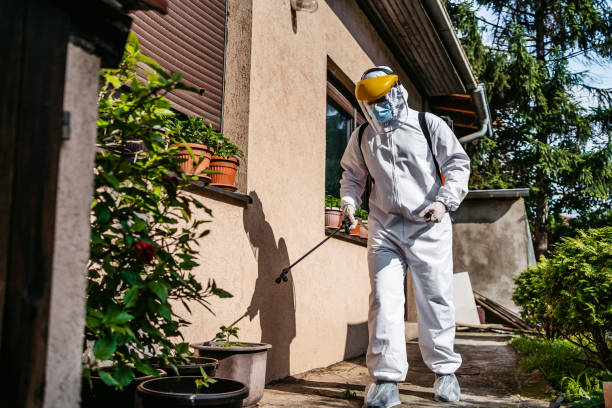 Best Mosquito Control Services  in Stevensville, MI