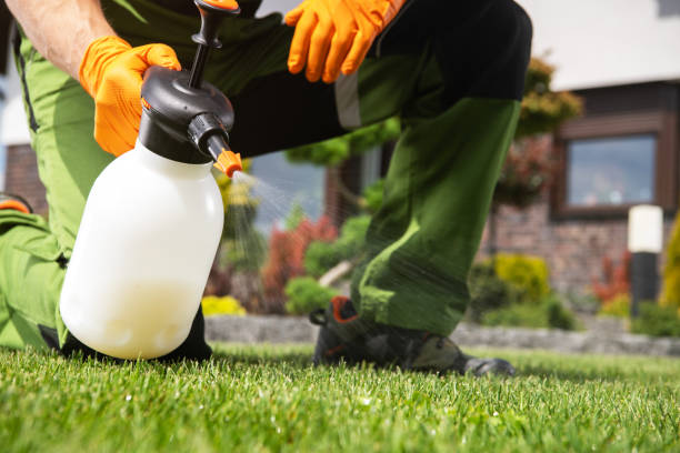 Best Termite Control Services  in Stevensville, MI