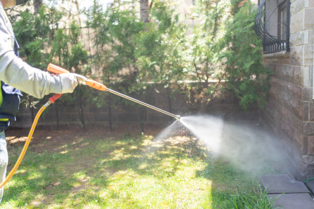 Best Insect Control  in Stevensville, MI