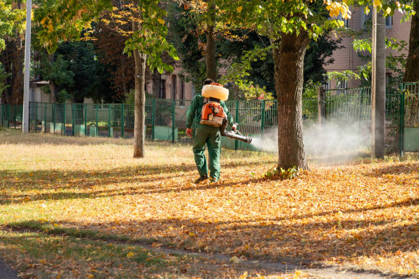 Best Pest Prevention Services  in Stevensville, MI