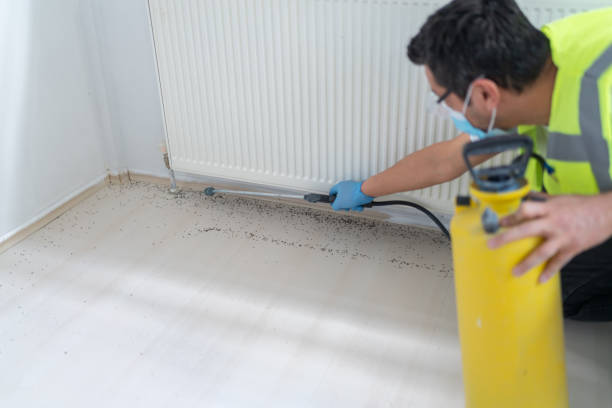 Best Ant Control Services  in Stevensville, MI