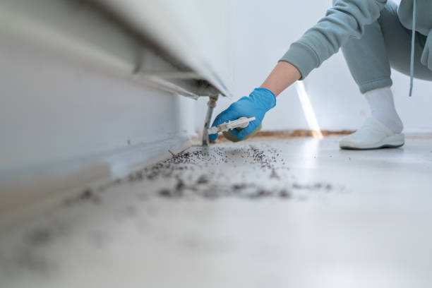 Best Commercial Pest Control Services  in Stevensville, MI