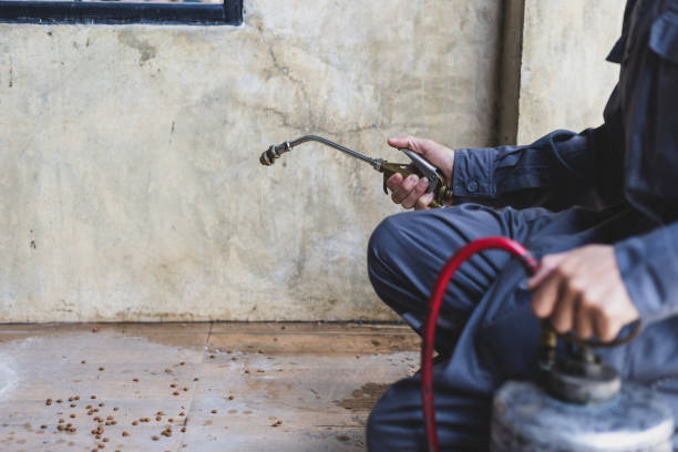 Best Best Pest Control Companies  in Stevensville, MI