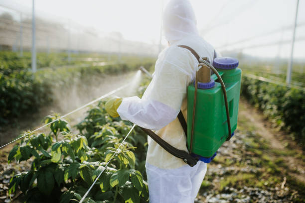 Best Pest Control for Homes  in Stevensville, MI